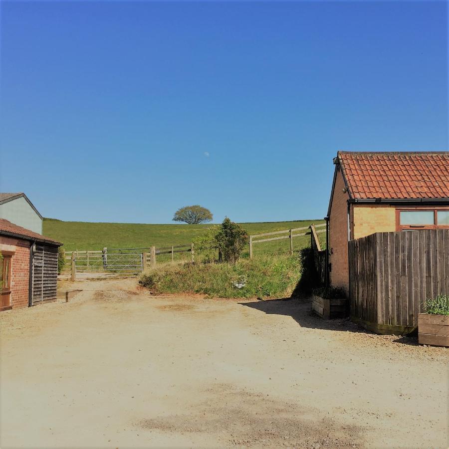 טונטון Meg'S Cottage מראה חיצוני תמונה